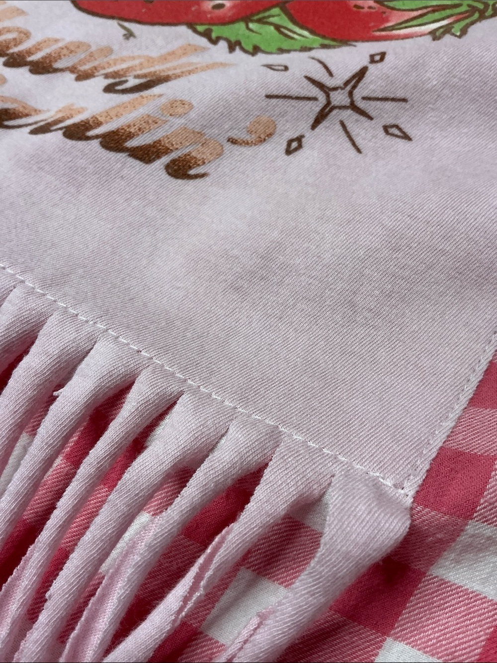 Strawberry Shortcake Upcycled Top Flannel Shirt Western Fringe Cowgirl - Picture 3 of 13